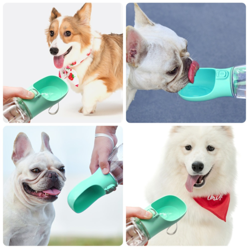 PawTools Outdoor Pet Water Dispenser